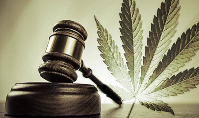 Marijuana Legislation Image