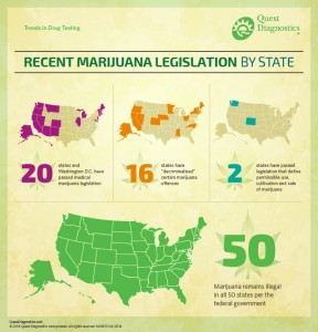 Marijuana Legalization InfoGraphic8.14