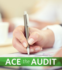 ace the audit