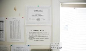 Drug test policy signs