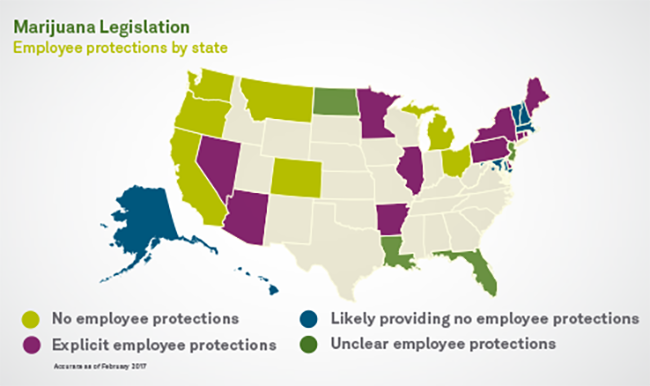 employee protections for marijuana map
