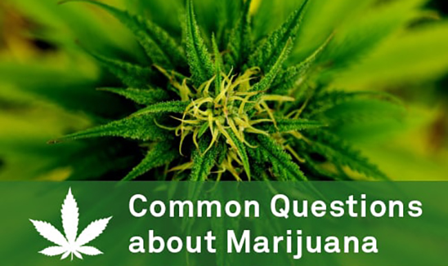 common questions about marijuana