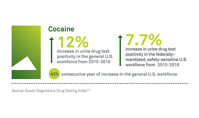 cocaine drug use trends