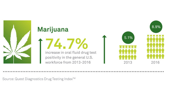 marijuana drug testing trends
