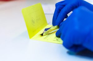 hair drug test in yellow envelope at Quest
