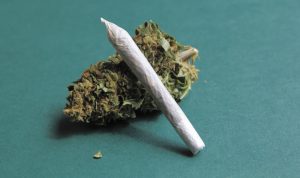 marijuana use in America