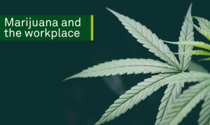 marijuana leaf and title header marijuana in the workplace